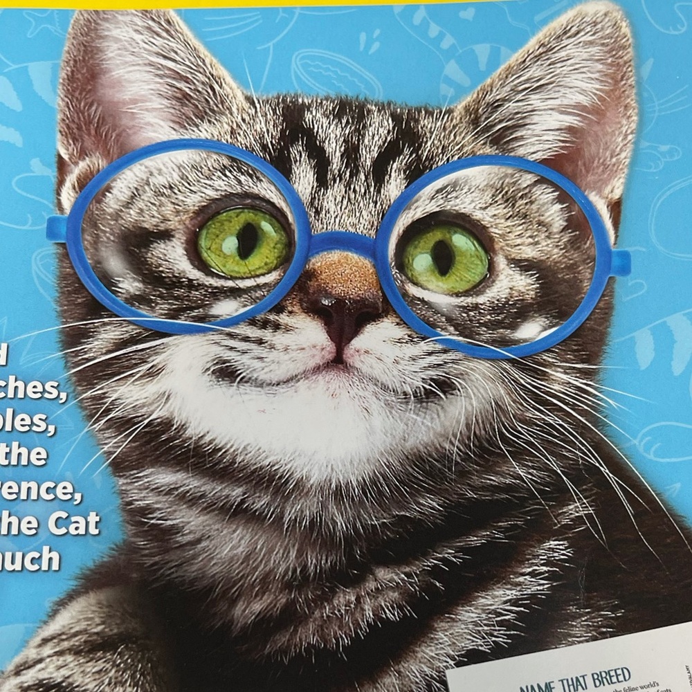 Meet your Posher, Kaysie